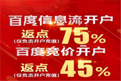 行业领先企业的SEM竞价优化经验分享